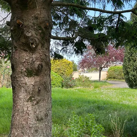 Angel Du Mont